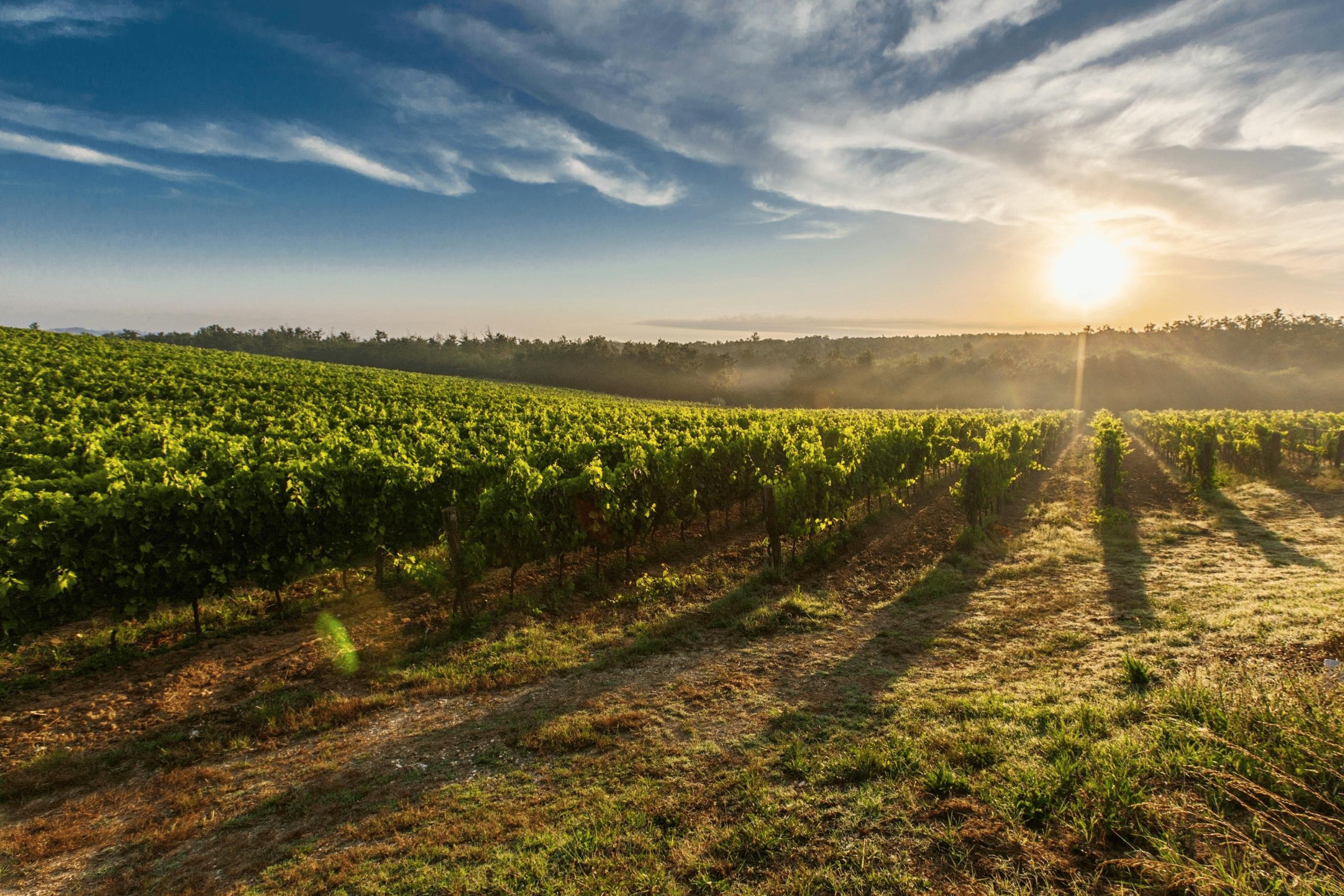 Rural Funds Management expands use of Atticus across diverse documents